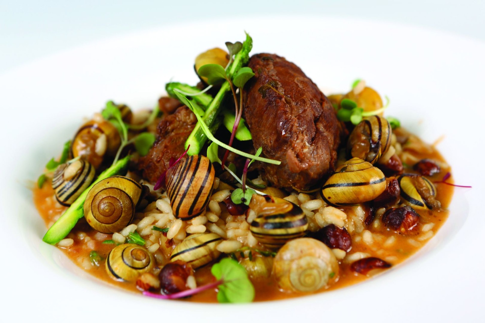 Iberian pork cheek braised with yellow snail, risotto, asparagus and hazelnut